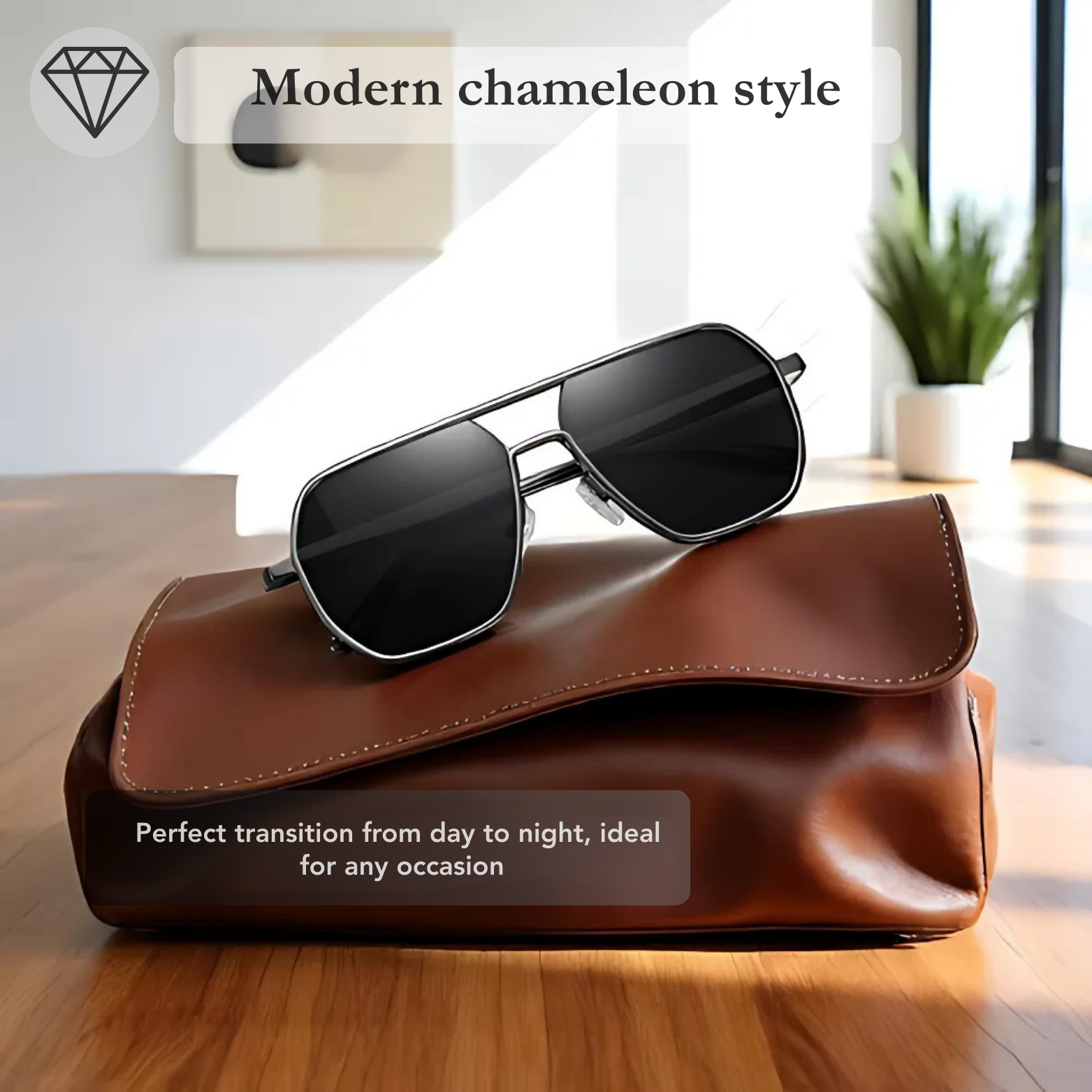 Polarized Photochromic Glasses