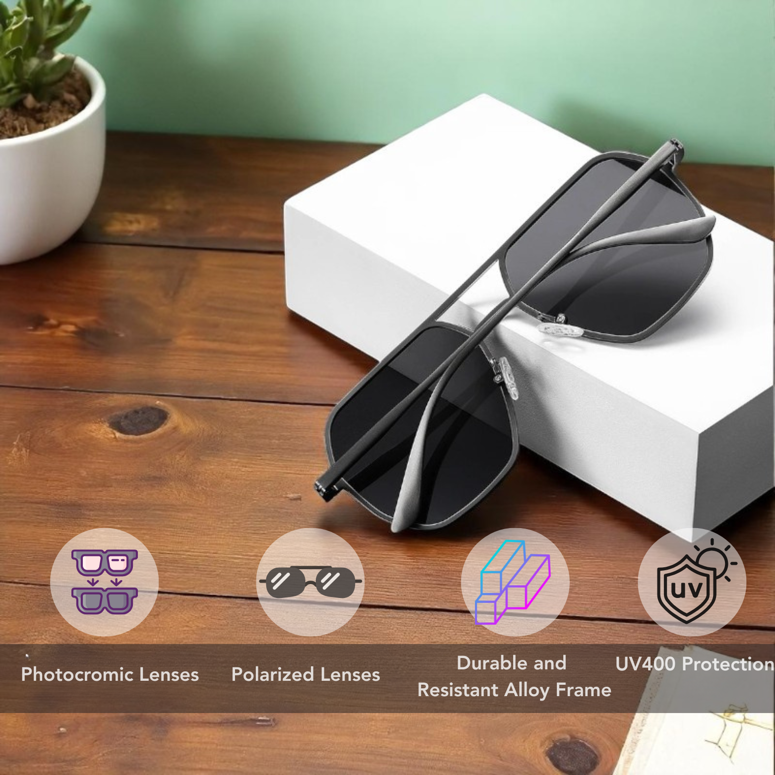 Polarized Photochromic Glasses