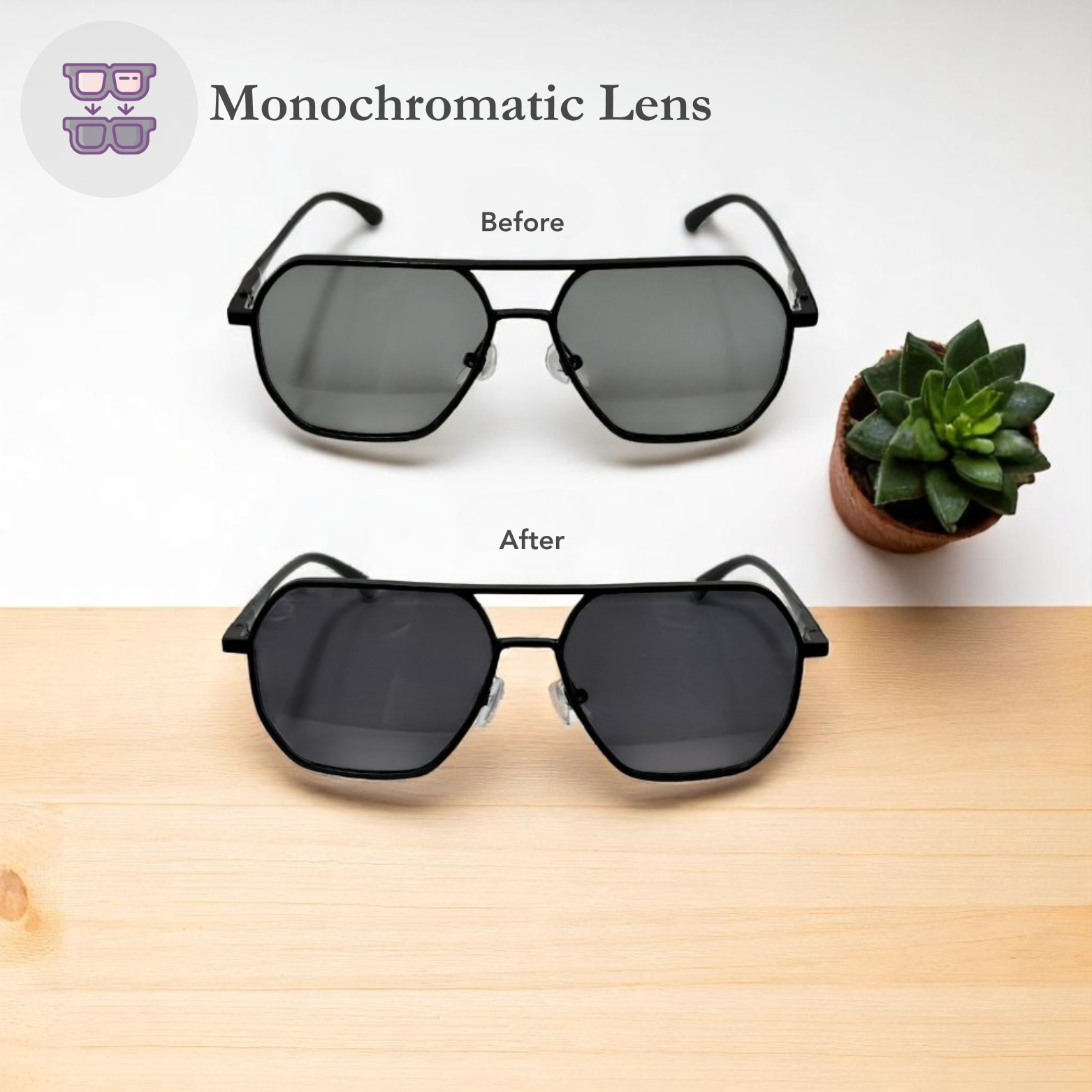 Polarized Photochromic Glasses