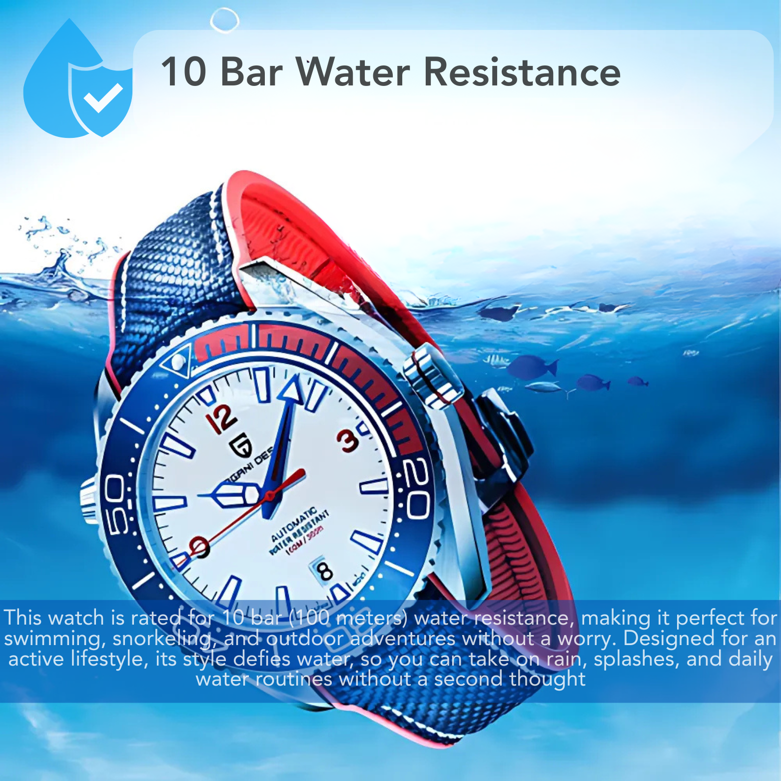 Pagani Automatic Luxury Watch