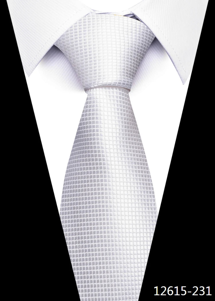 Classic Men's Tie