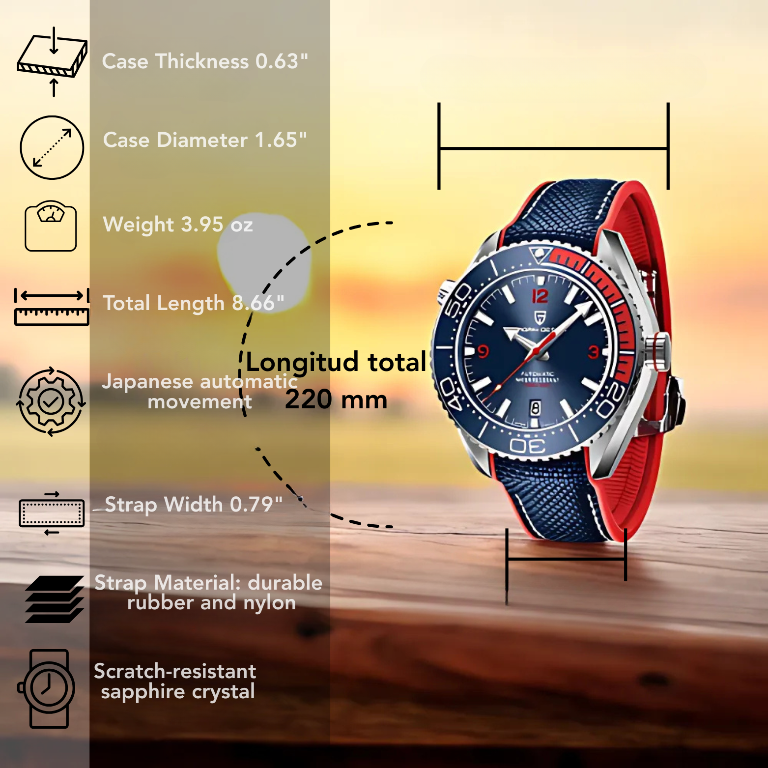Pagani Automatic Luxury Watch